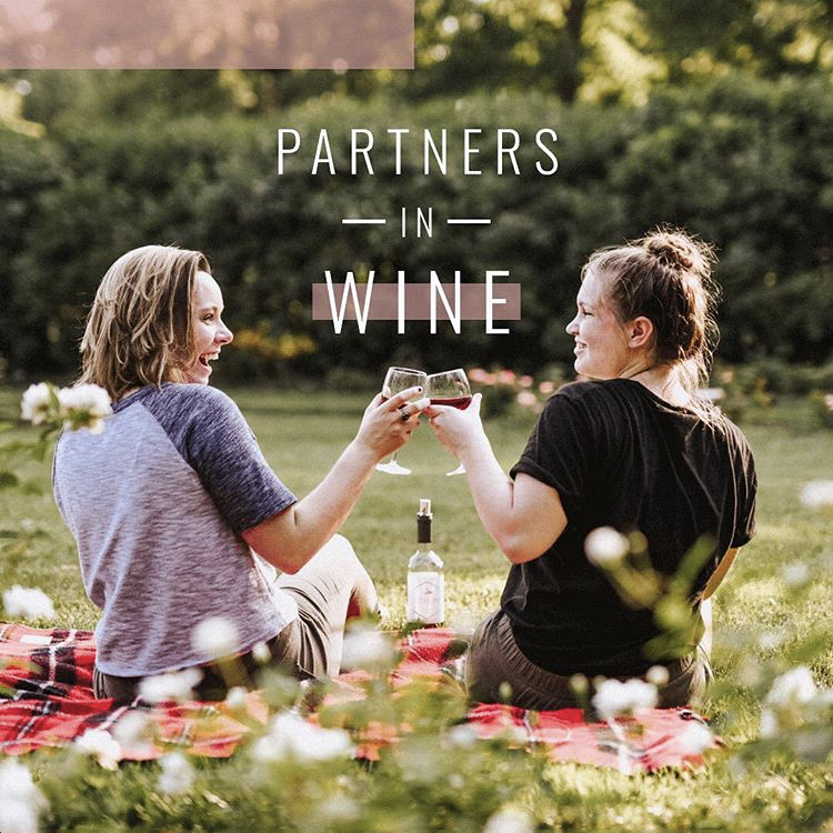 two girls in a park having a picnic with wine doing a cheers